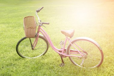 Vintage Bisiklet patlama ışık yeşil çimenlerin üzerinde