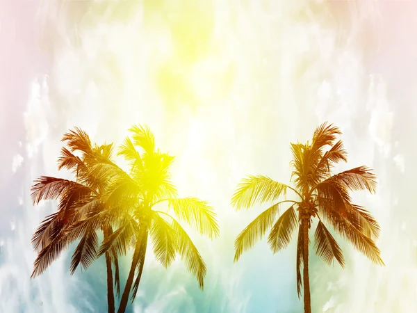 Coconut palm trees at sunset in background — Stock Photo, Image