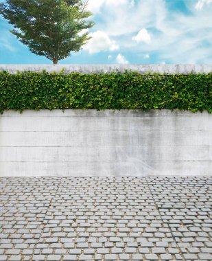 duvar ve arka plan için yaprak yeşil çimento