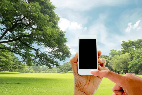 bahçede büyük ağaçlarda el tutun ve dokunmatik ekran akıllı telefon