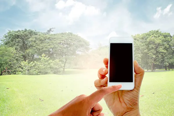 patlama ışık ile bahçede büyük ağaçlarda el tutun ve dokunmatik ekran akıllı telefon