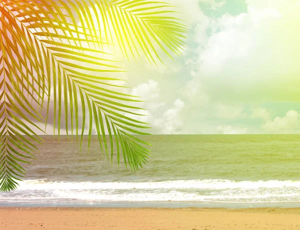 Kokosnoot Palmbomen Met Lucht Achtergrond — Stockfoto