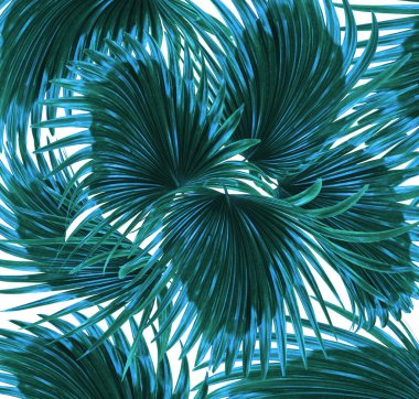 Beyaz arkaplanda yeşil palmiye yaprakları