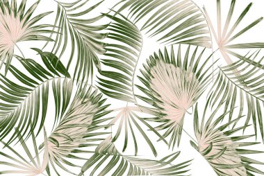 Beyaz arkaplanda yeşil palmiye yaprakları