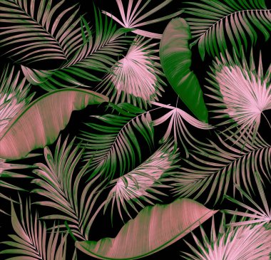 Palmiye ağacı arkaplanının yaprakları