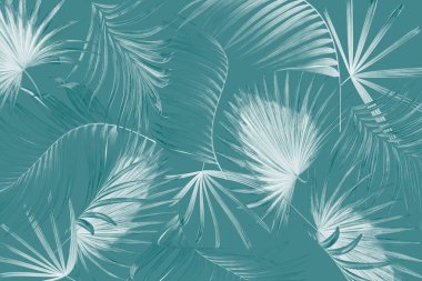 Palmiye ağacı arkaplanının yaprakları