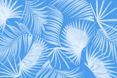 Palmiye ağacı arkaplanının yaprakları