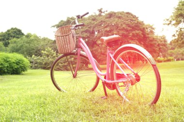 Parkta ışık patlamış bisikletler.