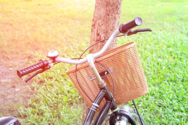 Işığı patlamış klasik bisiklet ağacın yanında bekliyor.