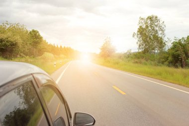 patlama ışık ile ormanda yol