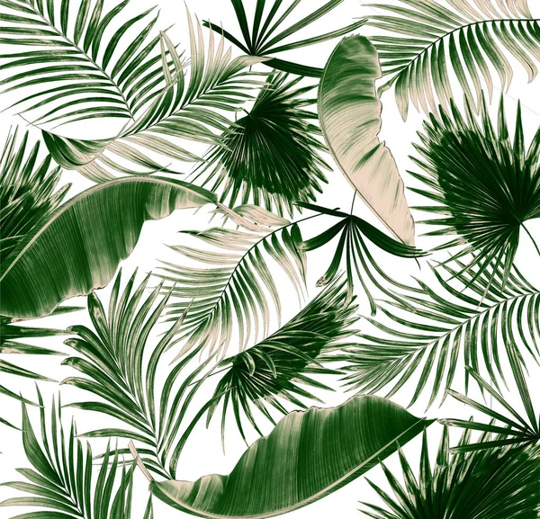 Змішати Зелене Листя Пальми Білому Тлі — стокове фото