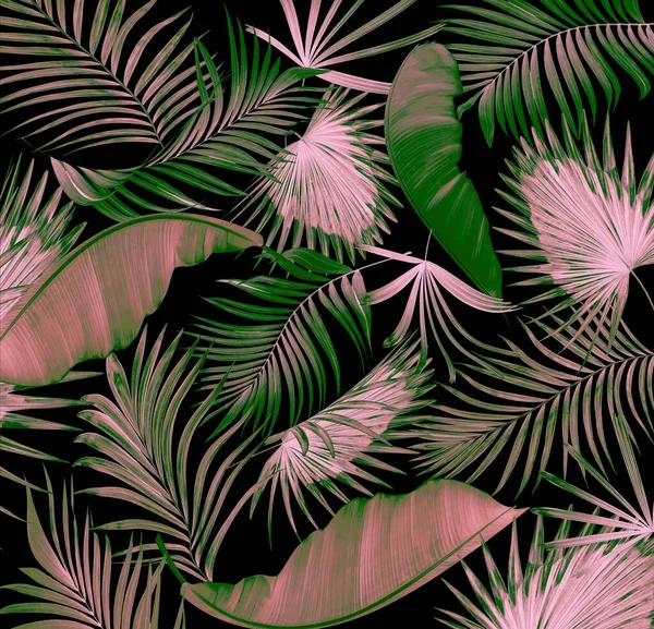 Palmiye ağacı arkaplanının yaprakları