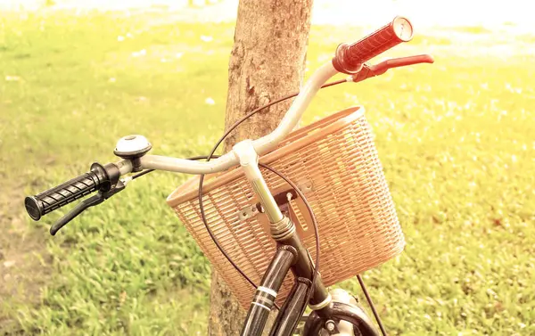 Vintage Bicycle Waiting Tree Sepia Tone Burst Light — Stock Photo, Image