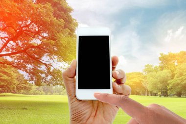 patlama ışık ile bahçede büyük ağaçlarda el tutun ve dokunmatik ekran akıllı telefon
