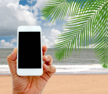 gökyüzü arka plan ile hindistan cevizi palmiye ağaçları üzerinde el tutun ve dokunmatik ekran akıllı telefon