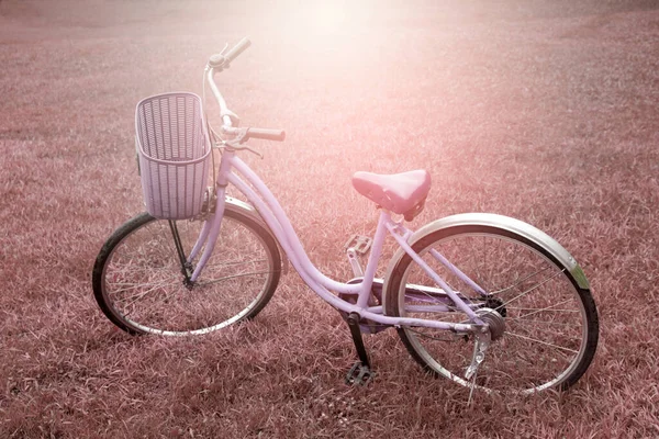 Bicicletas Parque Com Luz Explosão — Fotografia de Stock