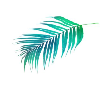 Beyaz zemin üzerinde yeşil palmiye yaprakları: kukla warp etkisi