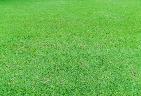 Grüner Gras Boden Hintergrund — Stockfoto