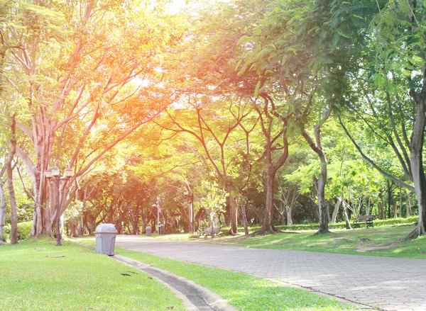 Chemin Pierre Dans Parc Vert Avec Lumière Éclatante — Photo