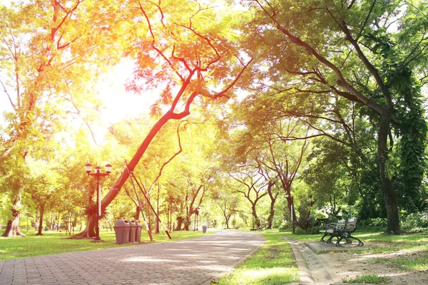 Chemin Pierre Dans Parc Vert Avec Lumière Éclatante — Photo