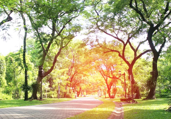 Stone Pathway Den Gröna Parken Med Brustet Ljus — Stockfoto