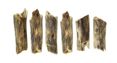 logaritma beyaz üzerine izole 