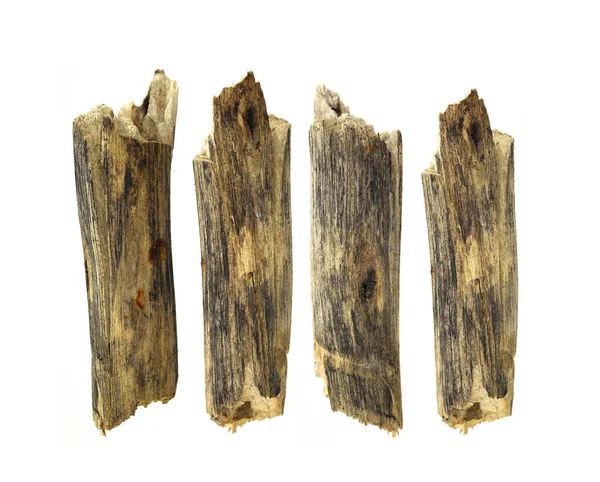 Madeira Log Isolado Branco — Fotografia de Stock