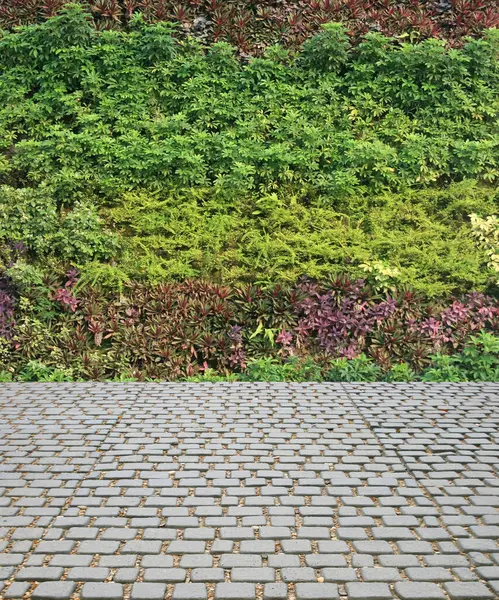 フラワーウォール垂直庭と石の床 — ストック写真