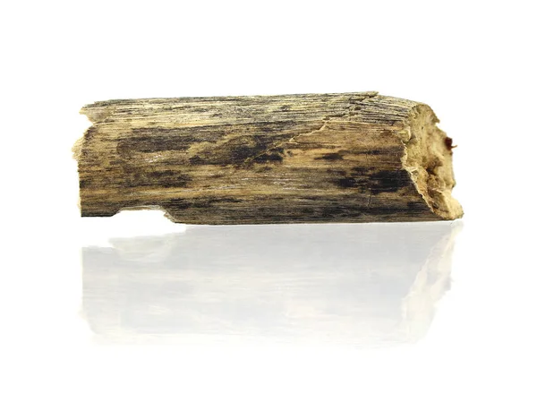 Madeira Log Fundo Branco — Fotografia de Stock