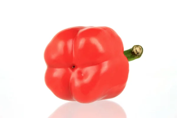 Paprika Geïsoleerd Witte Achtergrond — Stockfoto