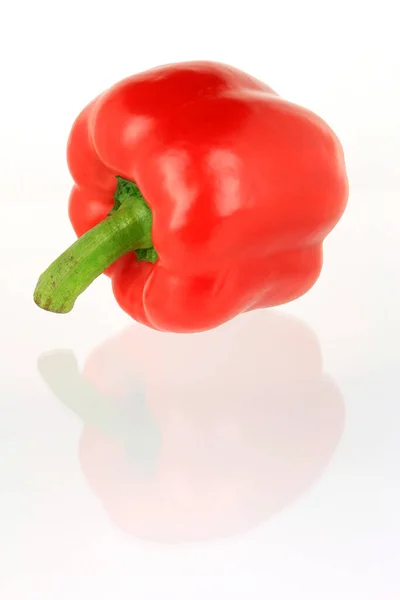 Rode Paprika Geïsoleerd Witte Achtergrond — Stockfoto