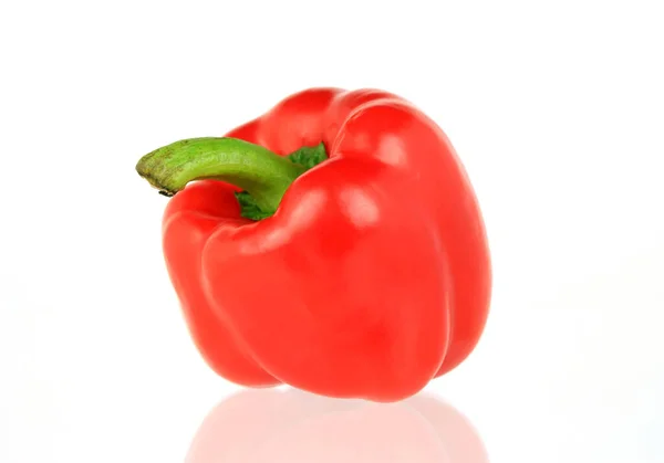 Rode Paprika Geïsoleerd Witte Achtergrond — Stockfoto