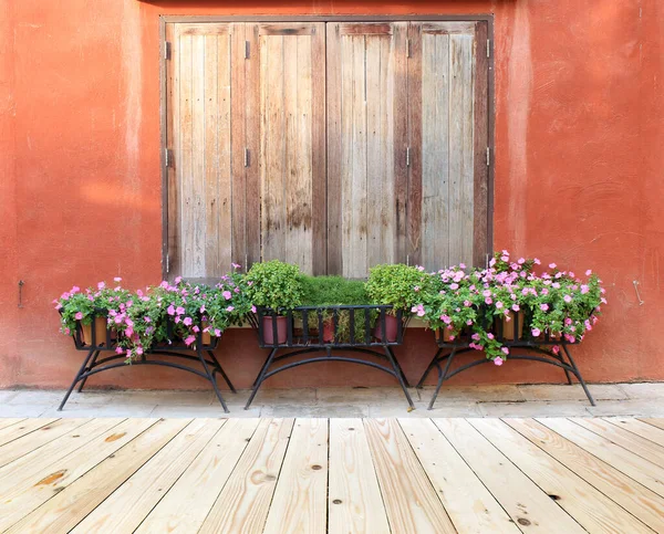 Fenster Und Blumentopf — Stockfoto