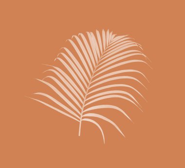 Beyaz arkaplanda yeşil palmiye yaprağı