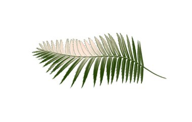 Renkli kumaş örnekleri, kumaş arkaplan