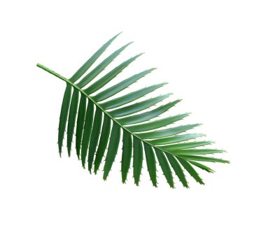 Renkli kumaş örnekleri, kumaş arkaplan