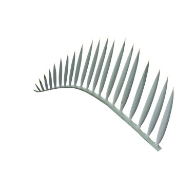 kırpma yolu ile beyaz arkaplanda izole yeşil palmiye yaprağı