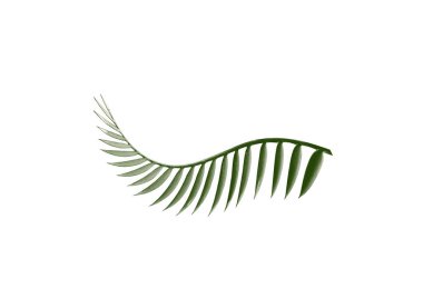 kırpma yolu ile beyaz arkaplanda izole yeşil palmiye yaprağı