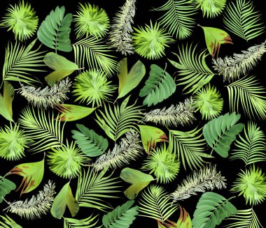 palmiye ağacı arkaplanının karışık yaprağı