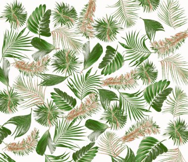 palmiye ağacı arkaplanının karışık yaprağı