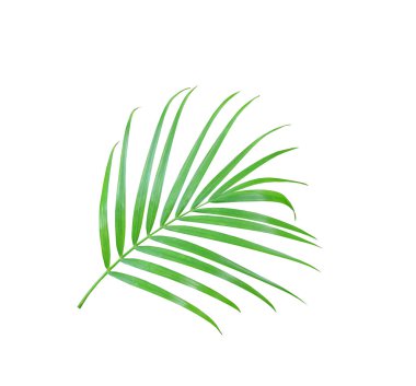 Renkli kumaş örnekleri, kumaş arkaplan