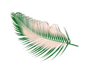 Renkli kumaş örnekleri, kumaş arkaplan