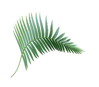 Renkli kumaş örnekleri, kumaş arkaplan