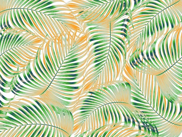 Palmiye Ağacı Arkaplanının Karışık Yaprağı — Stok fotoğraf