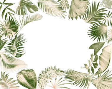 Yaz için beyaz üzerine tropik yeşil palmiye yaprağı