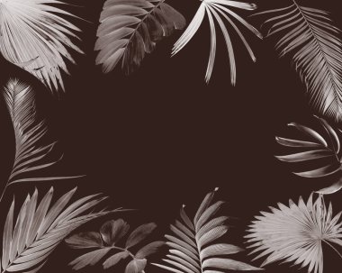 Yaz için beyaz üzerine tropik yeşil palmiye yaprağı