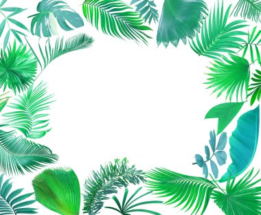 Yaz için beyaz üzerine tropik yeşil palmiye yaprağı