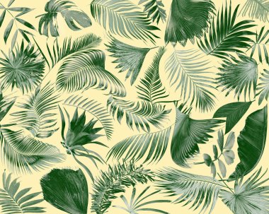 Yaz arkaplanı için tropikal palmiye yaprağı