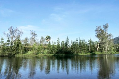 Ağaçlarla çevrili bir göl kenarı ve yansıyan gökyüzü.
