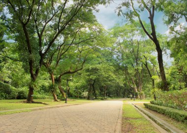 yeşil park taş yol